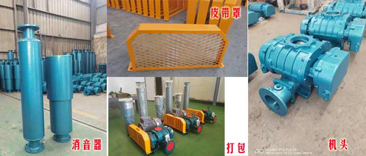 三叶罗茨成人毛片18女人毛片免费看麻豆（皮带型）实拍