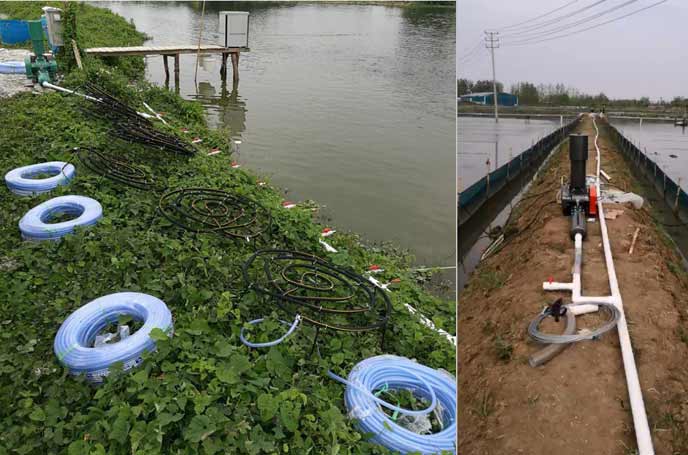 水产养殖供氧曝气罗茨成人毛片18女人毛片免费看麻豆