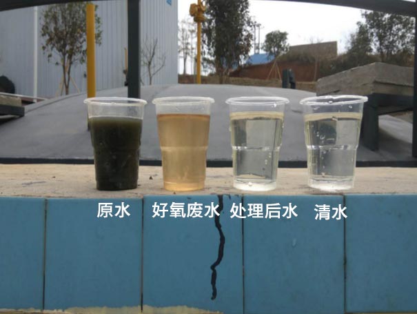 污水曝气罗茨鼓成人毛片18女人毛片免费看麻豆应用案例 污水曝气罗茨鼓成人毛片18女人毛片免费看麻豆应用案例