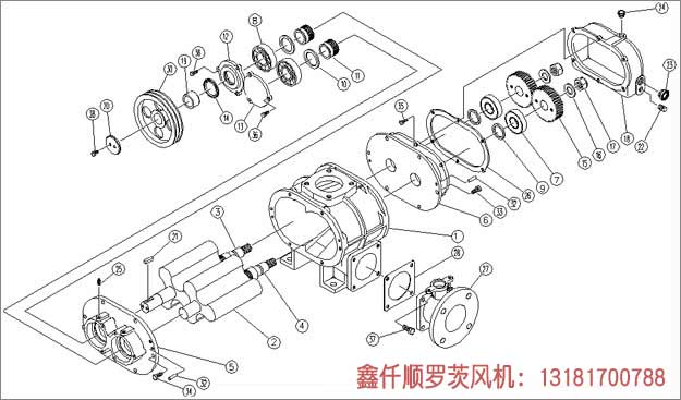 罗茨成人毛片18女人毛片免费看麻豆工作组成部件